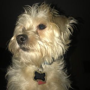 Meet your Posher, Alexandria